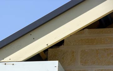 Flukes Hole fascia repairs