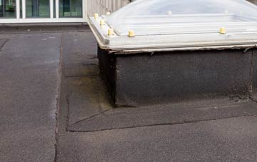 disadvantages of Flukes Hole flat roofs