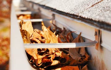 Flukes Hole gutter cleaning companies