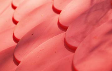Flukes Hole plastic roof costs
