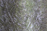 Flukes Hole fibreglass roof work