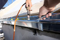 free Flukes Hole fascia quotes