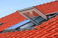 Flukes Hole roof window