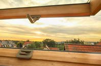 rated Flukes Hole roof window companies